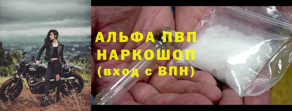 крисы Дмитриев