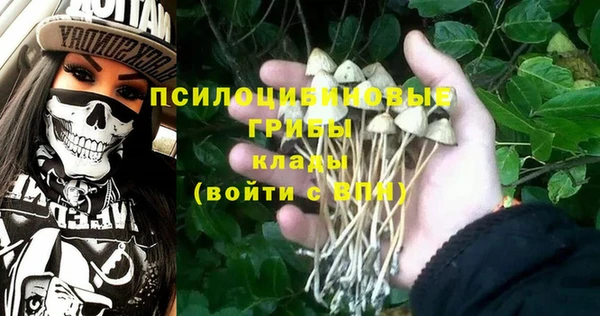 крисы Дмитриев