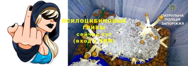 крисы Дмитриев