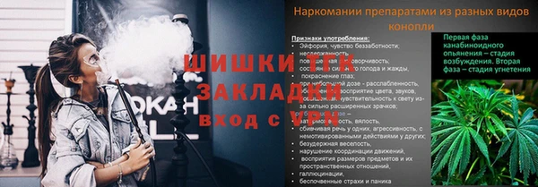 крисы Дмитриев