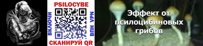 Галлюциногенные грибы Psilocybine cubensis  как найти закладки  Курск 