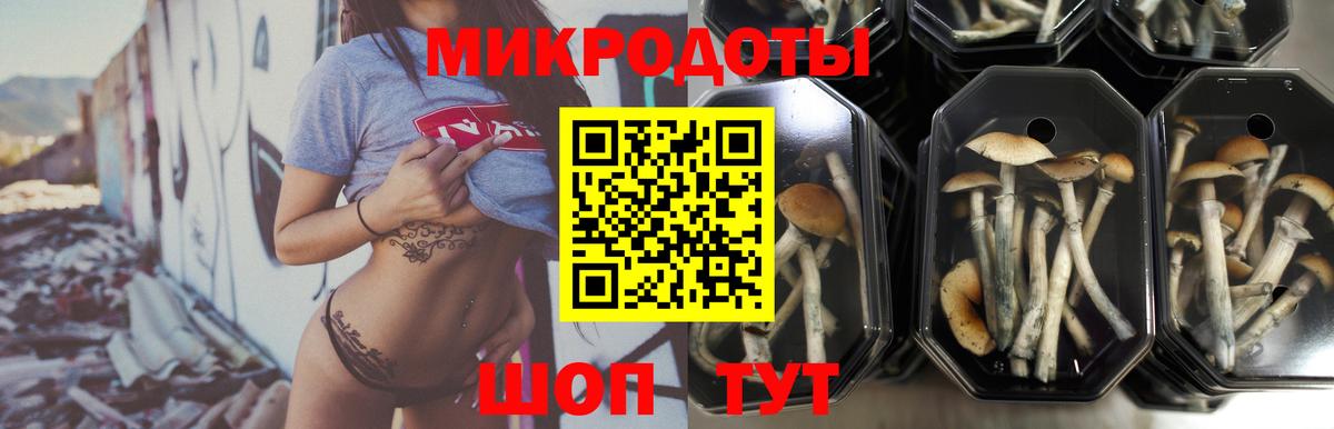 Галлюциногенные грибы мухоморы  Псилоцибиновые грибы Cubensis  Вход с VPN  Курск 
